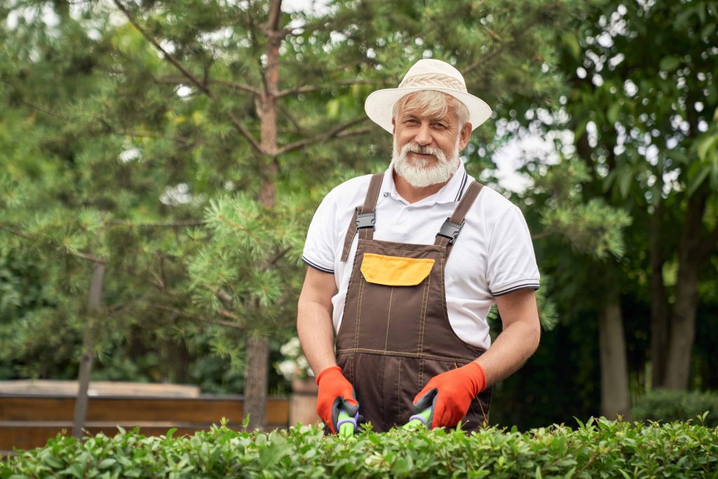 An older male gardener wearing a hat and gloves, trimming hedges in a well-maintained garden, symbolizing local landscaping expertise and personal care.